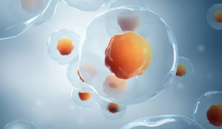 薬剤耐性菌のリスクが低い